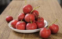 胃胀气吃什么食物好