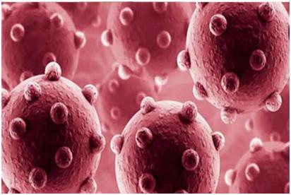 子宫内膜炎产生的原因有哪些？